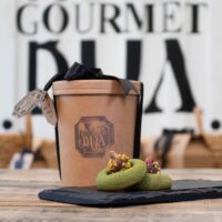 Pistachio date cookies